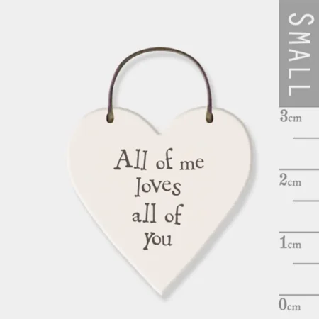 Love Message - All of Me Loves All of You