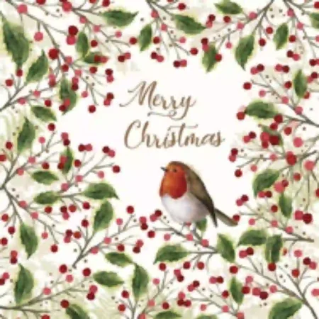 Guardanapos Papel PPD Merry Bird